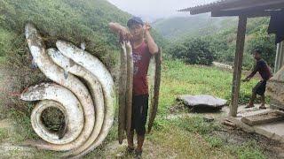 Eel catching SECRETS | How I hooked a Giant #fishing #hookfishing