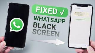 Top 6 Ways to Fix WhatsApp Black/White Screen on iPhone 2021