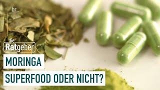 Moringa: Pulver mit heilsamen Superkräften? | Die Ratgeber