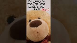 Mr bear​ 1. #bear #mrbear#goodday