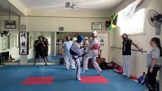 Practice Sparring ITF Taekwon-Do Vs WTF Taekwon-Do