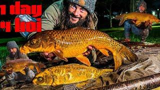 Catching 4 Beautiful Koi Carp in One Day! (INSANE)