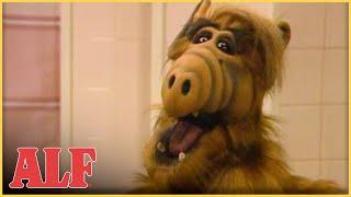 ALF vs. Giant Cockroach | S1 Ep25 Clip