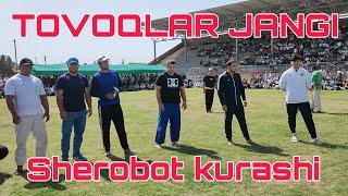 Tovoqlar boshlandi Sherobot 18.09.2023