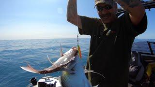 Two Fish On One Lure - CATCH & COOK Smoked Porae Pie