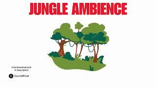 Jungle Rainforest Ambience Sound Effect | Free Download Copyright Free