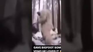 Бигфуты существуют… #shorts #bigfoot #факты