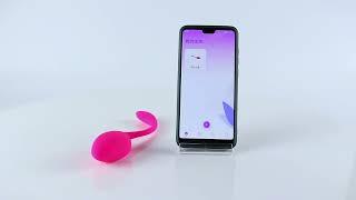Kegel Balls Egg Vibrator for Women Panties