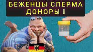 УКРАИНСКИЕ  БЕЖЕНЦЫ  ДОНОРЫ !  НОВЫЕ  ВИДЫ ЗАРАБОТКА В ГЕРМАНИИ !!!