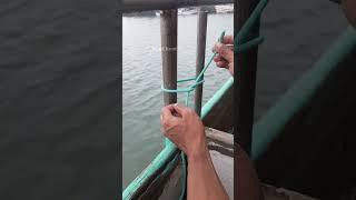 knot for two iron poles #knot #video #shorts