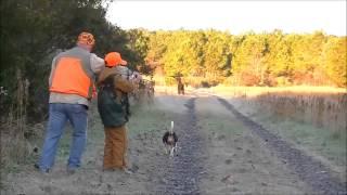 Rabbit hunting with beagles 11/28/13