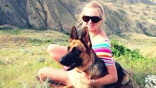 GERMAN SHEPHERD GOES ON AN AMAZING HIKE