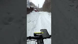 Про институт семьи 1 #журбаза #журба #база #инвестиции #бизнес #жизнь #жиза
