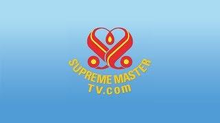 SupremeMasterTV Live (HD, 720p)