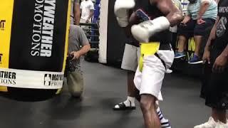 Скорость удара Флойда Майвезера Floyd Mayweather's strike speed