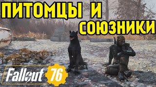 FALLOUT 76 | ГАЙД, ВСЕ О ПИТОМЦАХ И НАПАРНИКАХ!( ВСЕ ВИДЫ, ГДЕ  ИСКАТЬ?)