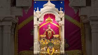 Jai ranchhodrai #ranchodrai #kanudo #jagannath #dwarkadhish #radhakrishna #viralvideo