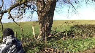 Perfect point Axe Test Throwing Boom Session.