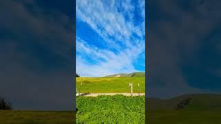 Mission Foothills Regional Park - Fremont, CA