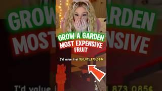 Did I Just Get The “MOST EXPENSIVE” FRUIT in GROW A GARDEN on ROBLOX?
