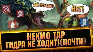 От НУБА ДО ПРО, подробный гайд на НЕКМО ТАРА. Лучший саппорт - RAID Shadow Legends