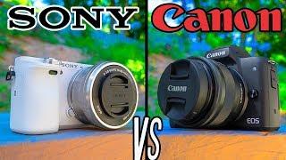 Canon M50 vs Sony A6000!  Budget YouTube Camera Battle!