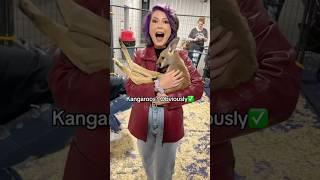Rating which animals at the exotic pet expo I’d want as a pet