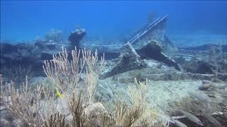 Key Largo Diving - Wrecks and Reefs July 2018