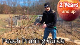 Pruning a Peach Tree to be Healthy and Productive