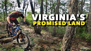 This states crown jewel is an MTB mecca, and Lookout Mountain is a must ride.