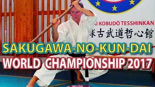 Sergei Mirutenko. SAKUGAWA-NO-KUN-DAI. RYUKYU KOBUDO TESSHINKAN