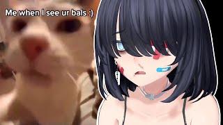 Blackpilled Waifu Reacts To Memes 🩹 [Try Not To Cry Challenge]