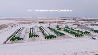 ТОО "Атамекен-Агро-Корнеевка" и ТОО "Азия - Тарангул". Инновационные фермы.