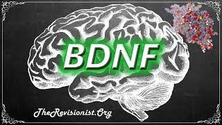 Understanding BDNF and Its Importance to Brain Health