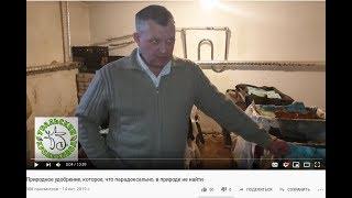 Дикие красавицы и Настоящий отец Динетты