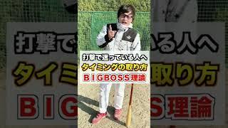 【BIG BOSS理論】バッティングのタイミングの取り方【野球／新庄剛志】
