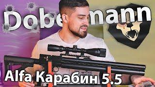 PCP Alfa Dobermann Карабин 5.5 мм (400 мм, стандартные нарезы) видео обзор