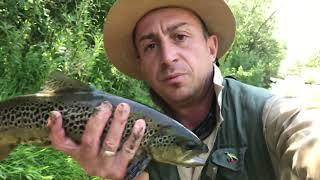 Trout fishing in Bulgaria river 20/07/22