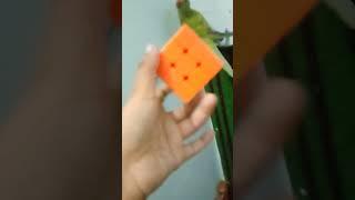 #mithu with Rubik's cube#mithu play Rubik's cube