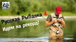 Русская рыбалка 4. Гайд для начинающих / Russian Fishing 4. Beginners Guide