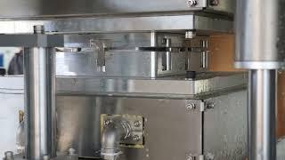 Hanson pulp molding tableware package machine for bottle.