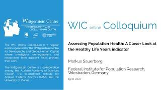 Assessing Population Health: A Closer Look at the Healthy Life Years indicator