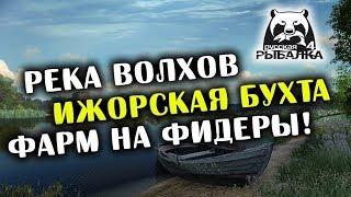 РУССКАЯ РЫБАЛКА 4. Фарм серебра на Волхове. Ловим Леща и Белоглазку на фидеры