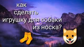 Как сделать игрушку для собаки из носка?