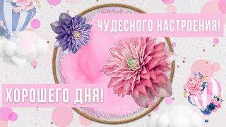 Хорошего дня, чудесного настроения!Анимационная открытка #WhatsApp