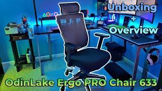 Odinlake Ergo Pro Chair | UNBOXING/OVERVIEW