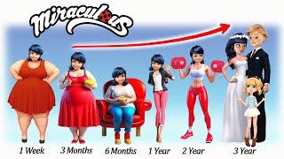 From Fat to Muscle: Miraculous Ladybug Growing Up Transformation I Poppy Bo