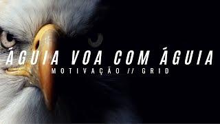 ÁGUIA VOA COM ÁGUIA - Vídeo MOTIVACIONAL ( MOTIVAÇÃO )