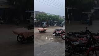 #beautiful #nature #youtubeshorts #zoheb.bhatti