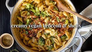 Creamy Vegan Broccoli & Shells | This Savory Vegan